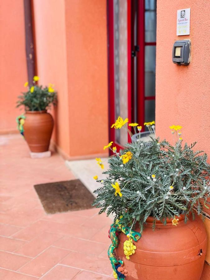 Regina Del Mare Holiday Apartments Tirrenia Luaran gambar