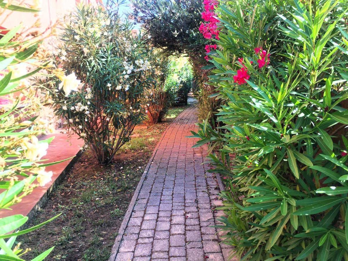 Regina Del Mare Holiday Apartments Tirrenia Luaran gambar