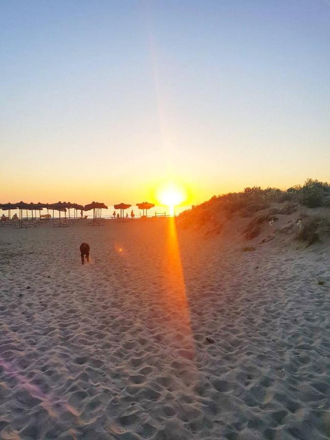 Regina Del Mare Holiday Apartments Tirrenia Luaran gambar